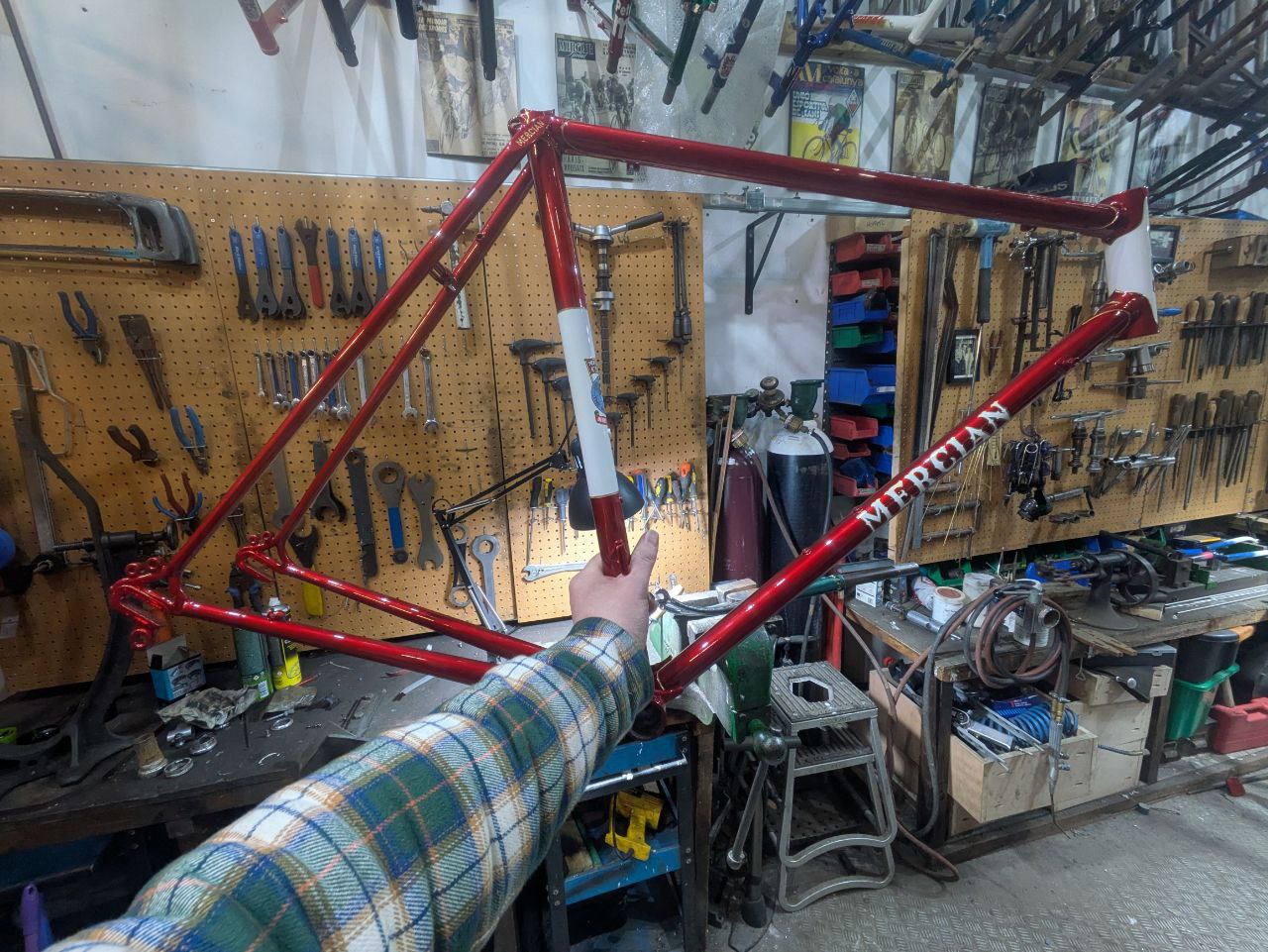 This Mercian just came back from paint and it looks stunning. I had to replace the chainstays because they had both rotted through